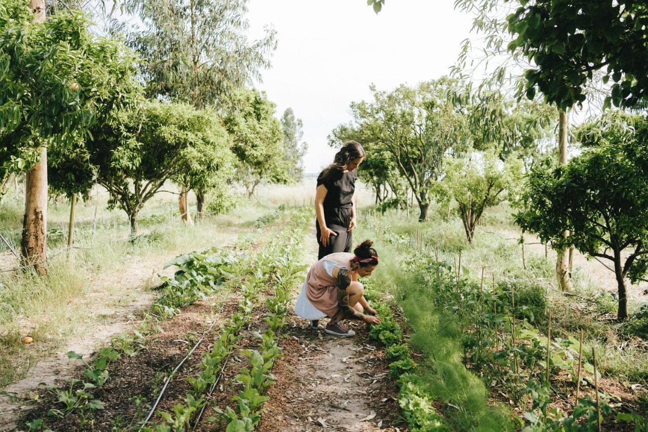 Humus Farm Villa Águas de Moura Kültér fotó